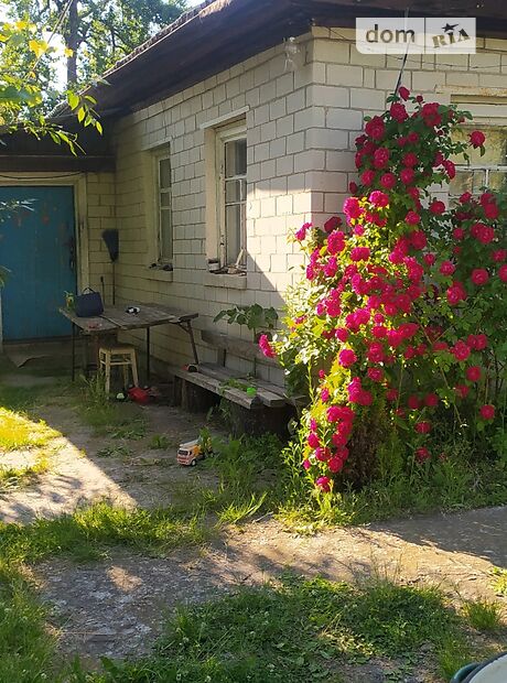 одноэтажный дом с садом, 49.4 кв. м, кирпич. Продажа в Сагуновке (Черкасская обл.) фото 1 одноэтажный дом с садом, 49.4 кв. м, кирпич. Продажа в Сагуновке (Черкасская обл.) фото 1