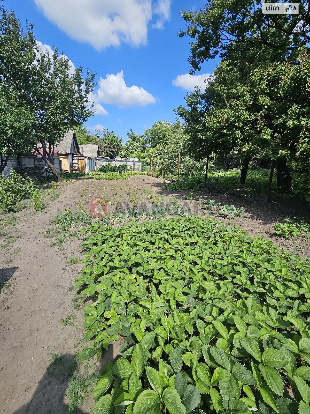 одноэтажный дом, 100 кв. м, кирпич. Продажа в Черкассах район Сосновский фото 1 одноэтажный дом, 100 кв. м, кирпич. Продажа в Черкассах район Сосновский фото 1