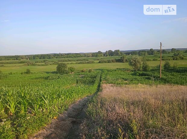 одноэтажный дом с садом, 65 кв. м, кирпич. Продажа в Степанках (Черкасская обл.) фото 1 одноэтажный дом с садом, 65 кв. м, кирпич. Продажа в Степанках (Черкасская обл.) фото 1
