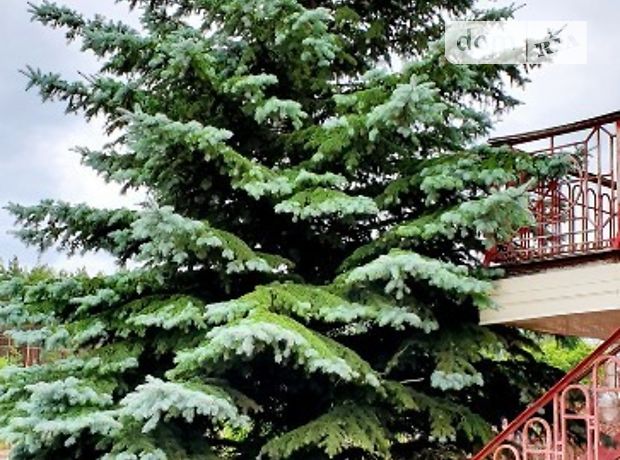 трехэтажный дом с камином, 313 кв. м, кирпич. Продажа в Вергунах (Черкасская обл.) фото 1 трехэтажный дом с камином, 313 кв. м, кирпич. Продажа в Вергунах (Черкасская обл.) фото 1