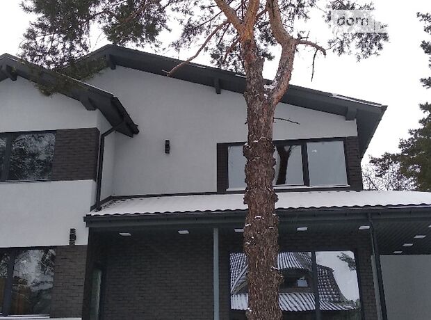 двухэтажный дом с камином, 220 кв. м, газобетон. Продажа в Червоной Слободе (Черкасская обл.) фото 1 двухэтажный дом с камином, 220 кв. м, газобетон. Продажа в Червоной Слободе (Черкасская обл.) фото 1