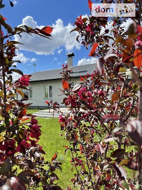 одноэтажный дом с камином, 105 кв. м, газобетон. Продажа в Леськах (Черкасская обл.) фото 1 одноэтажный дом с камином, 105 кв. м, газобетон. Продажа в Леськах (Черкасская обл.) фото 1
