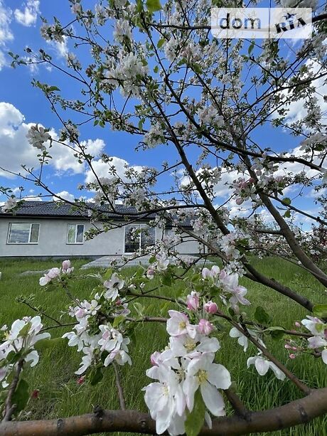 одноэтажный дом с камином, 105 кв. м, газобетон. Продажа в Леськах (Черкасская обл.) фото 1 одноэтажный дом с камином, 105 кв. м, газобетон. Продажа в Леськах (Черкасская обл.) фото 1