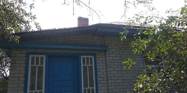 одноэтажный дом с садом, 103 кв. м, кирпич. Продажа в Сагуновке (Черкасская обл.) фото 1
