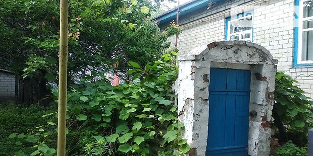 одноэтажный дом с садом, 103 кв. м, кирпич. Продажа в Сагуновке (Черкасская обл.) фото 1 одноэтажный дом с садом, 103 кв. м, кирпич. Продажа в Сагуновке (Черкасская обл.) фото 1