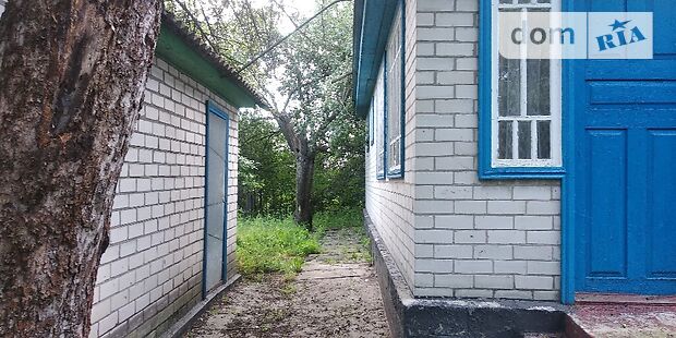 одноэтажный дом с садом, 103 кв. м, кирпич. Продажа в Сагуновке (Черкасская обл.) фото 1 одноэтажный дом с садом, 103 кв. м, кирпич. Продажа в Сагуновке (Черкасская обл.) фото 1