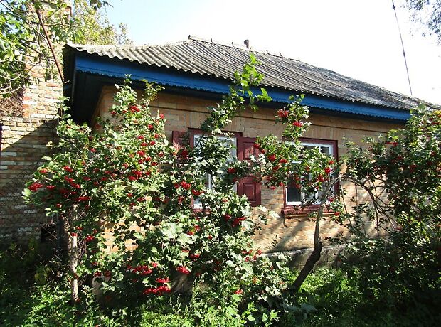 одноэтажный дом с садом, 65 кв. м, дерево и кирпич. Продажа в Сагуновке (Черкасская обл.) фото 1 одноэтажный дом с садом, 65 кв. м, дерево и кирпич. Продажа в Сагуновке (Черкасская обл.) фото 1