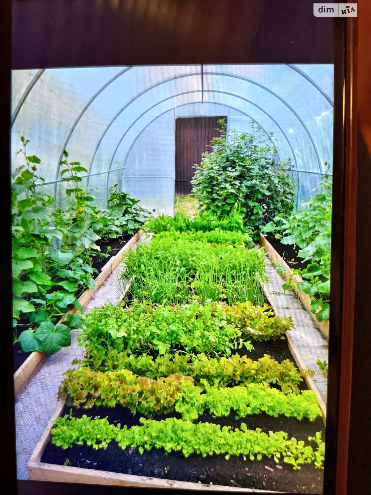 двухэтажный дом, 200 кв. м, кирпич. Продажа в Чернигове район Болдины Горы фото 1 двухэтажный дом, 200 кв. м, кирпич. Продажа в Чернигове район Болдины Горы фото 1