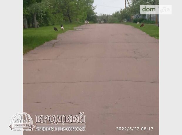 одноэтажный дом, 94 кв. м, кирпич. Продажа в Брусилове (Черниговская обл.) фото 1 одноэтажный дом, 94 кв. м, кирпич. Продажа в Брусилове (Черниговская обл.) фото 1