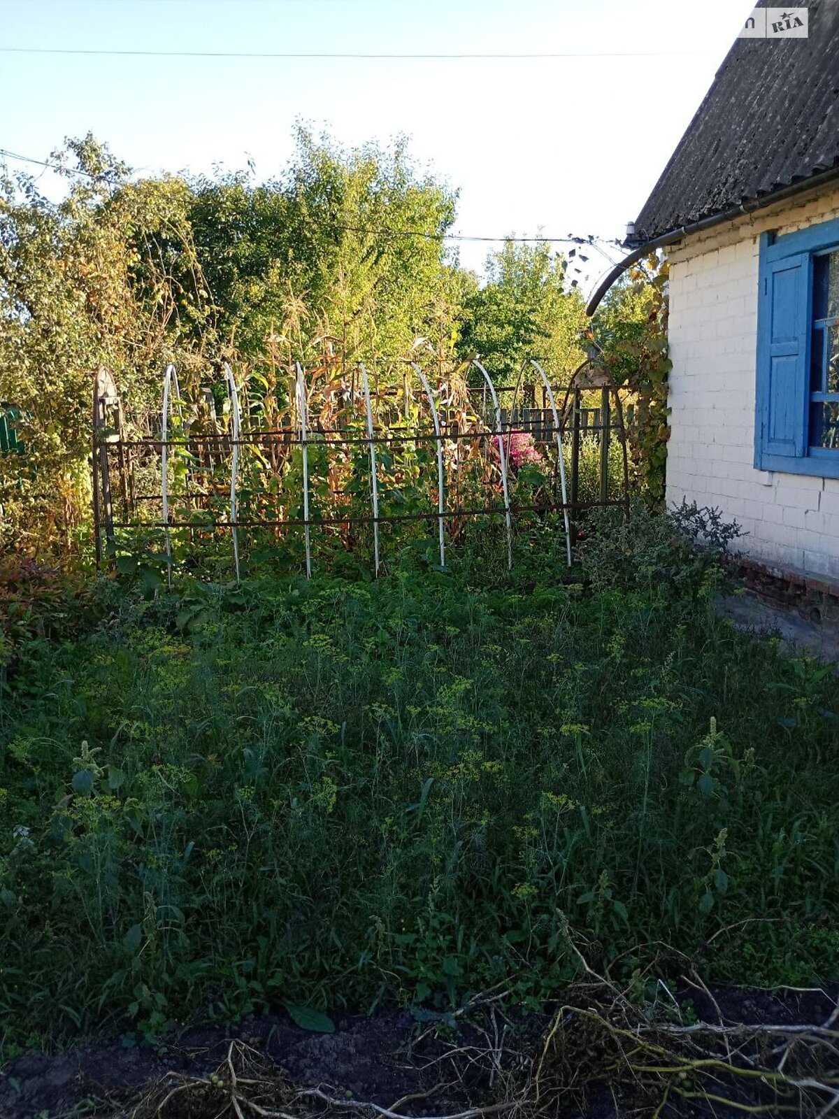 двоповерховий будинок, 50 кв. м, цегла. Продаж в Чернігові, район Деснянський фото 1 двоповерховий будинок, 50 кв. м, цегла. Продаж в Чернігові, район Деснянський фото 1