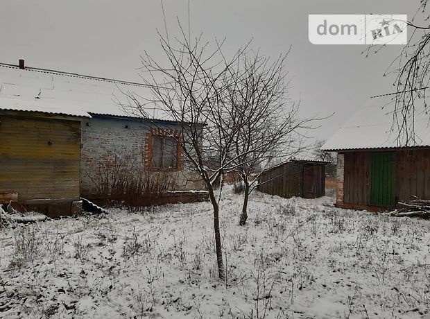 одноэтажный дом с садом, 64 кв. м, кирпич. Продажа в Ладинке (Черниговская обл.) фото 1 одноэтажный дом с садом, 64 кв. м, кирпич. Продажа в Ладинке (Черниговская обл.) фото 1