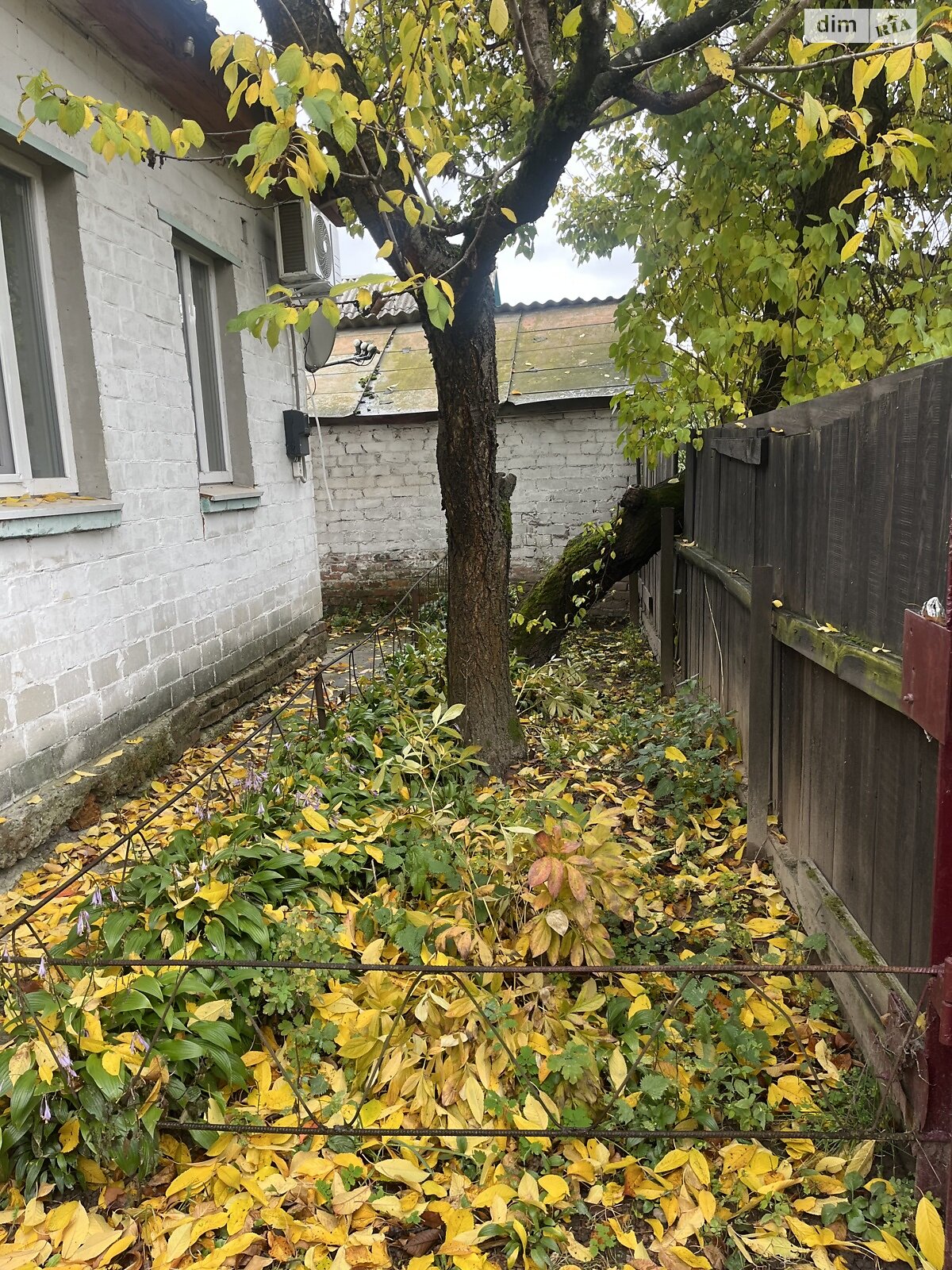 одноэтажный дом с отоплением, 55 кв. м, брус. Продажа в Чернигове район Новозаводской фото 1 одноэтажный дом с отоплением, 55 кв. м, брус. Продажа в Чернигове район Новозаводской фото 1