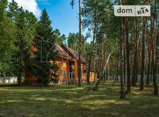 триповерховий будинок з терасою, 643 кв. м, цегла. Продаж в Снов’янці (Чернігівська обл.) фото 1 триповерховий будинок з терасою, 643 кв. м, цегла. Продаж в Снов’янці (Чернігівська обл.) фото 1