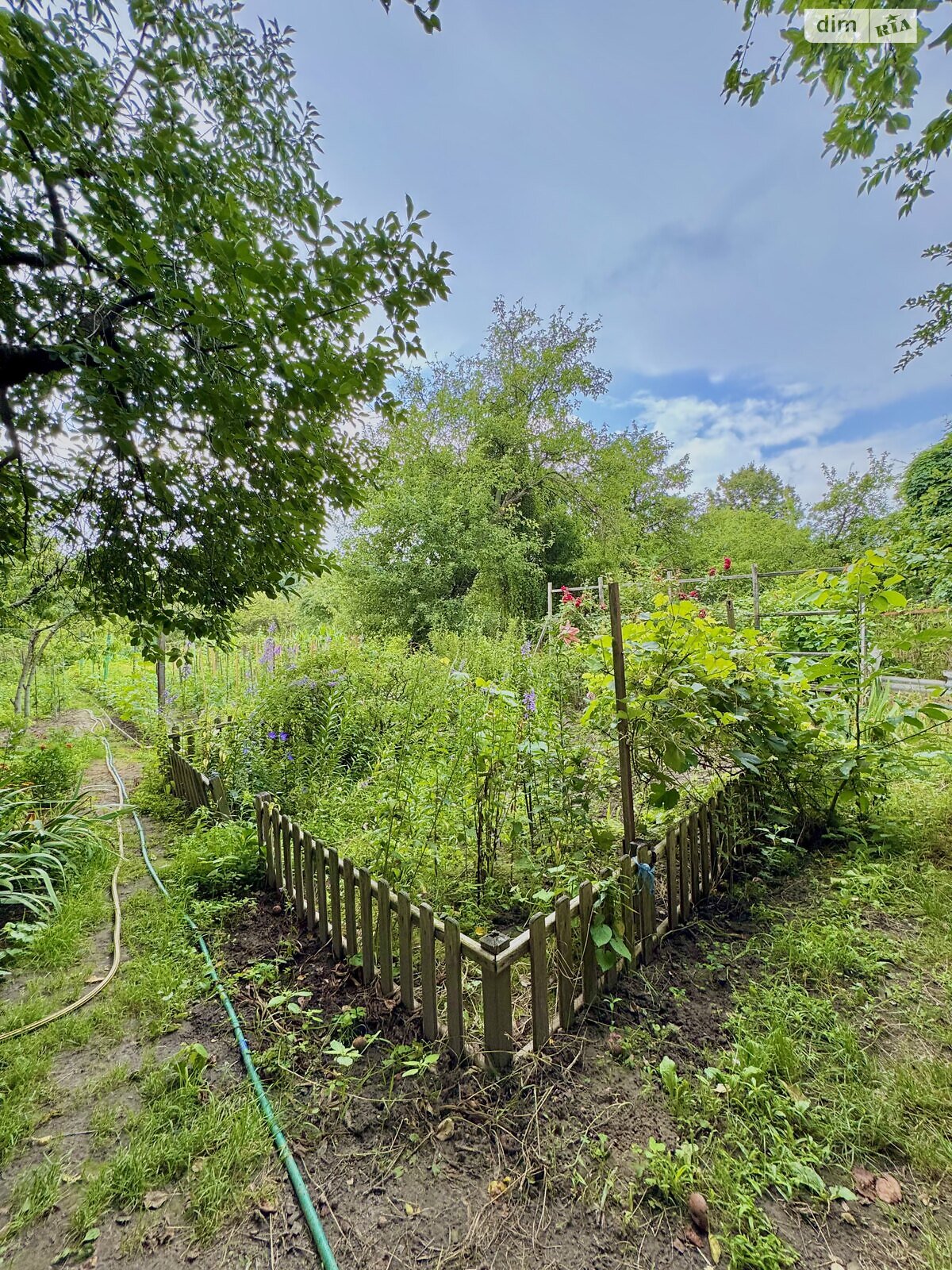 двухэтажный дом с верандой, 210.4 кв. м, кирпич. Продажа в Чернигове район Старая Подусовка фото 1 двухэтажный дом с верандой, 210.4 кв. м, кирпич. Продажа в Чернигове район Старая Подусовка фото 1