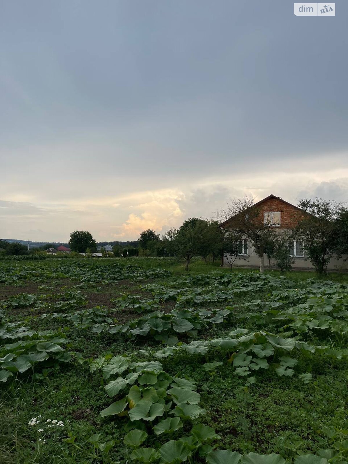 одноповерховий будинок з гаражем, 75 кв. м, цегла. Продаж у Чернихівці фото 1