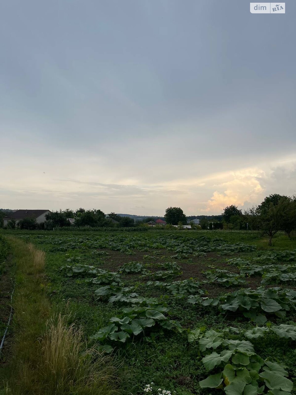 одноповерховий будинок з гаражем, 75 кв. м, цегла. Продаж у Чернихівці фото 1