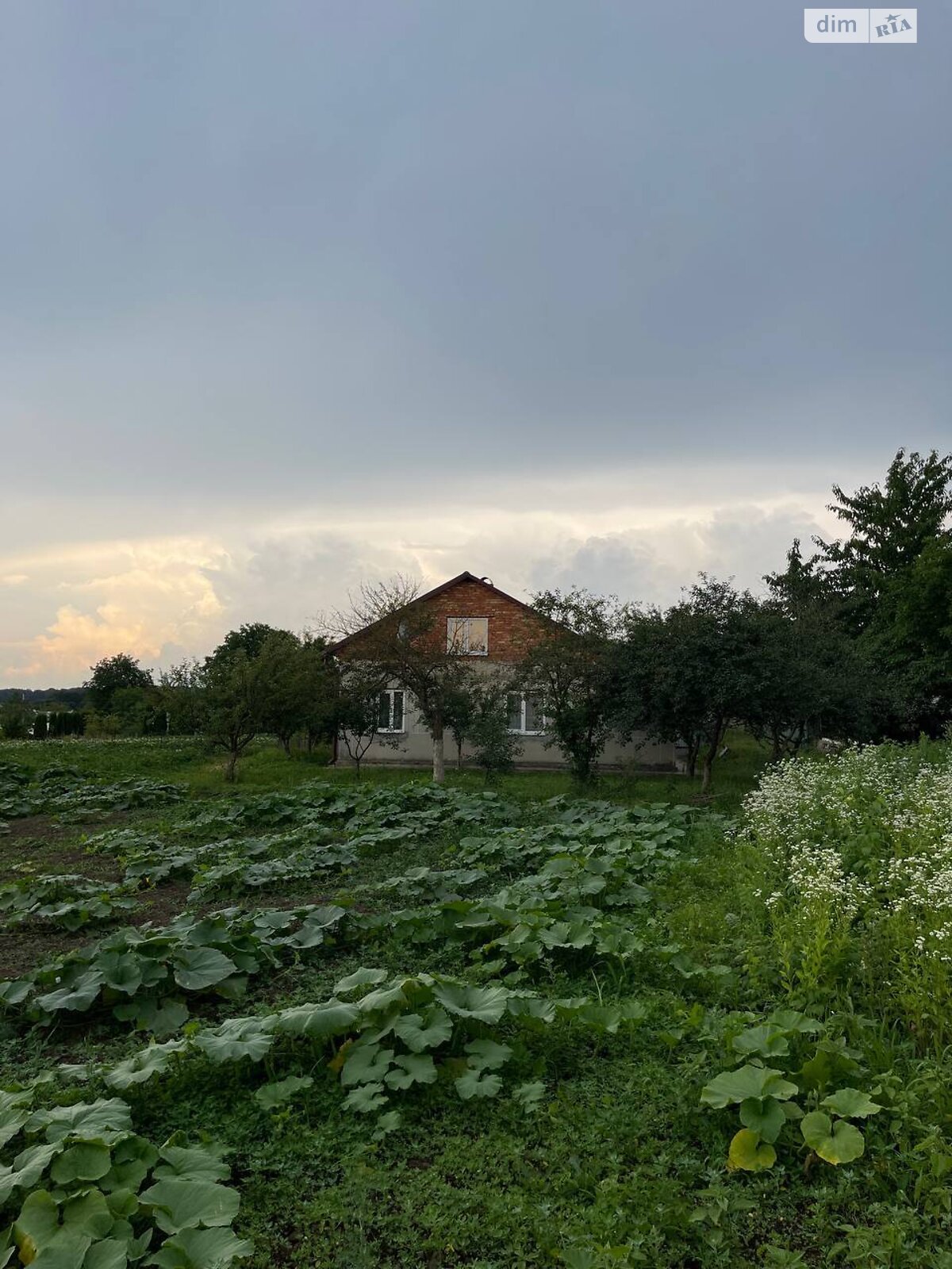 одноповерховий будинок з гаражем, 75 кв. м, цегла. Продаж у Чернихівці фото 1