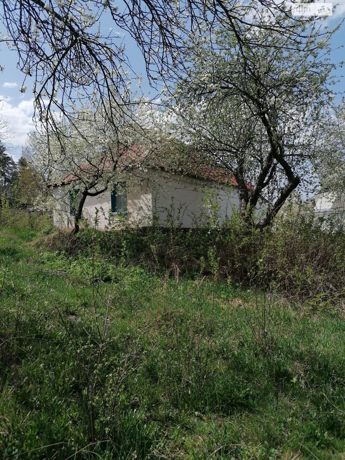 одноповерховий будинок з верандою, 52.3 кв. м, дерево та цегла. Продаж у Черніному фото 1 одноповерховий будинок з верандою, 52.3 кв. м, дерево та цегла. Продаж у Черніному фото 1