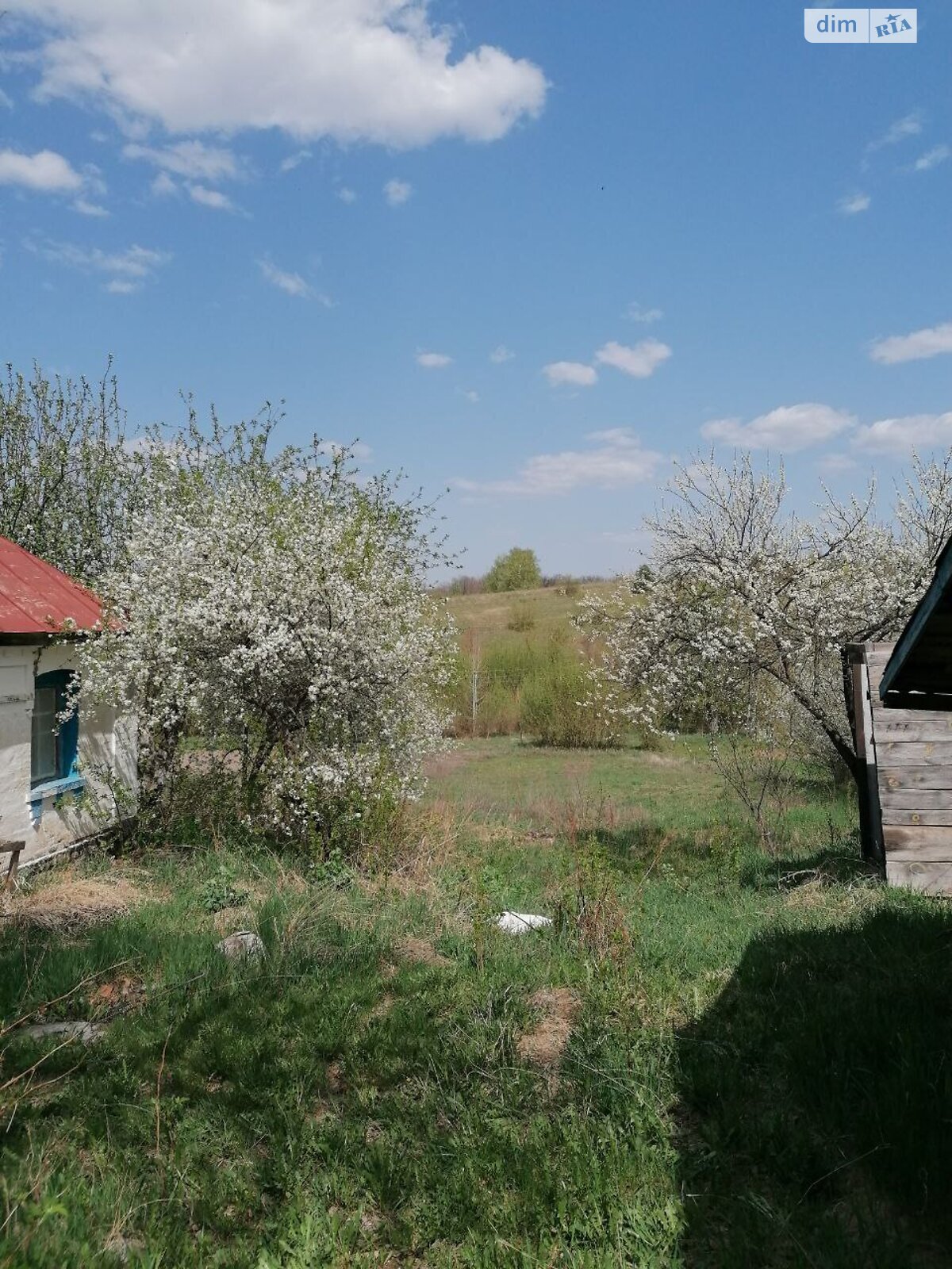 одноповерховий будинок з верандою, 52.3 кв. м, дерево та цегла. Продаж у Черніному фото 1 одноповерховий будинок з верандою, 52.3 кв. м, дерево та цегла. Продаж у Черніному фото 1