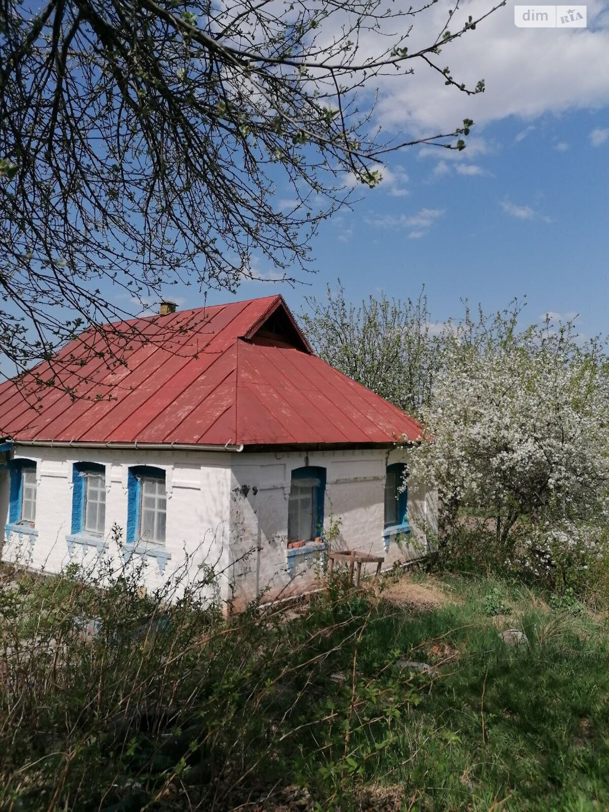 одноповерховий будинок з верандою, 52.3 кв. м, дерево та цегла. Продаж у Черніному фото 1 одноповерховий будинок з верандою, 52.3 кв. м, дерево та цегла. Продаж у Черніному фото 1