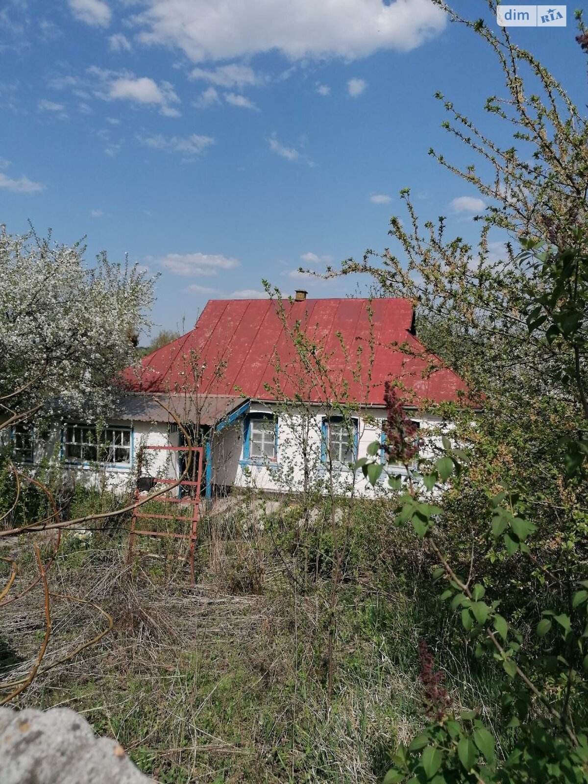 одноповерховий будинок з верандою, 52.3 кв. м, дерево та цегла. Продаж у Черніному фото 1 одноповерховий будинок з верандою, 52.3 кв. м, дерево та цегла. Продаж у Черніному фото 1