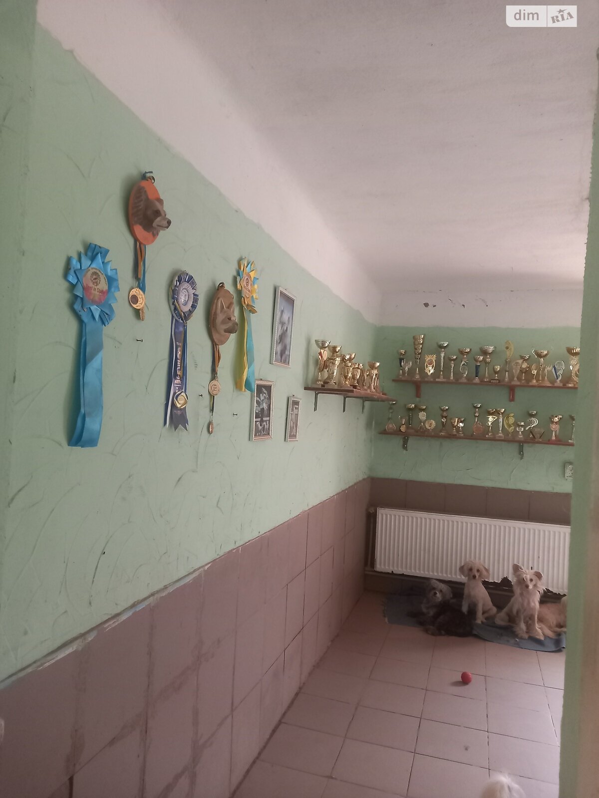 двухэтажный дом беседка, 124 кв. м, бутовый камень. Продажа в Чернобаевке фото 1 двухэтажный дом беседка, 124 кв. м, бутовый камень. Продажа в Чернобаевке фото 1