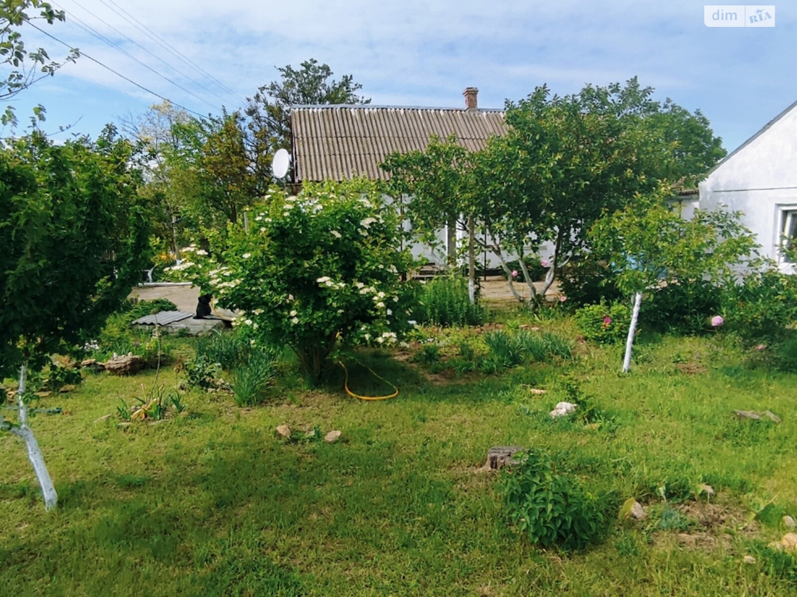 одноэтажный дом, 45 кв. м, ракушечник (ракушняк). Продажа в Черноморке фото 1 одноэтажный дом, 45 кв. м, ракушечник (ракушняк). Продажа в Черноморке фото 1