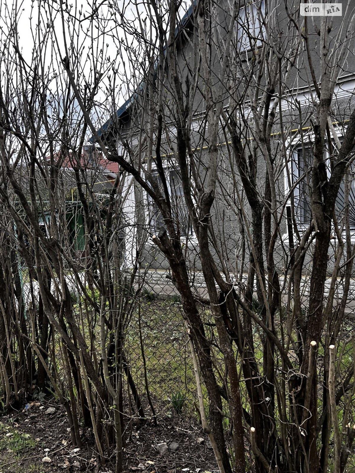 одноэтажный дом беседка, 120 кв. м, ракушечник (ракушняк). Продажа в Черноморске район Ильичевск фото 1 одноэтажный дом беседка, 120 кв. м, ракушечник (ракушняк). Продажа в Черноморске район Ильичевск фото 1
