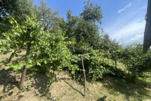 одноэтажный дом, 41.5 кв. м, кирпич саманный. Продажа в Черновцах район Первомайский фото 2 одноэтажный дом, 41.5 кв. м, кирпич саманный. Продажа в Черновцах район Первомайский фото 2