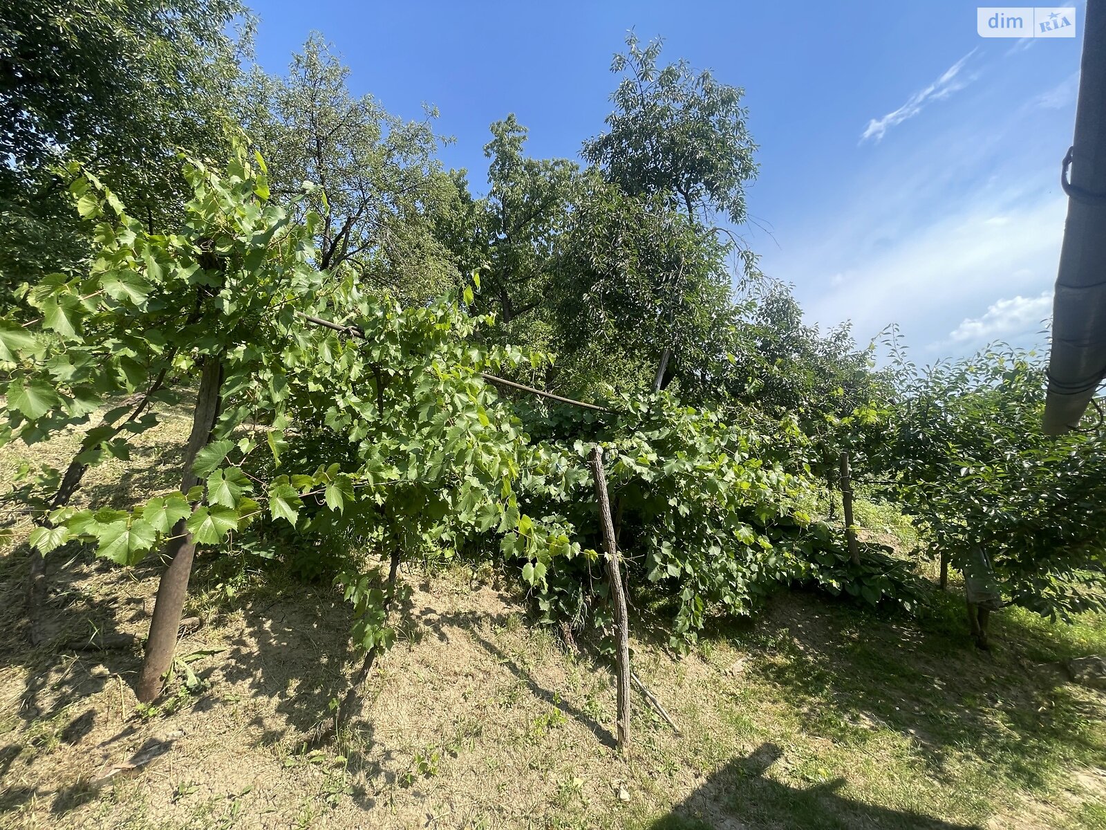 одноэтажный дом, 41.5 кв. м, кирпич саманный. Продажа в Черновцах район Первомайский фото 1 одноэтажный дом, 41.5 кв. м, кирпич саманный. Продажа в Черновцах район Первомайский фото 1