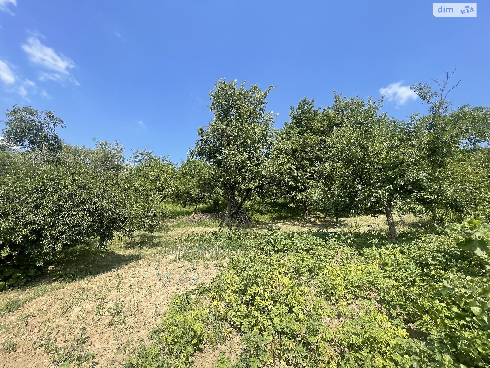 одноэтажный дом, 41.5 кв. м, кирпич саманный. Продажа в Черновцах район Первомайский фото 1 одноэтажный дом, 41.5 кв. м, кирпич саманный. Продажа в Черновцах район Первомайский фото 1