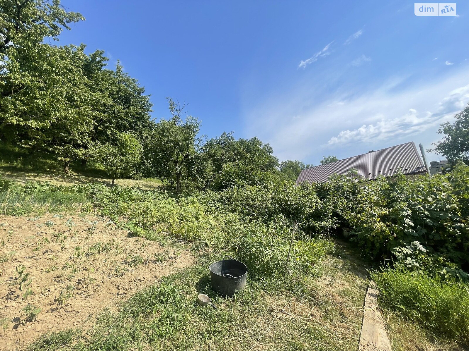 одноэтажный дом, 41.5 кв. м, кирпич саманный. Продажа в Черновцах район Первомайский фото 1 одноэтажный дом, 41.5 кв. м, кирпич саманный. Продажа в Черновцах район Первомайский фото 1