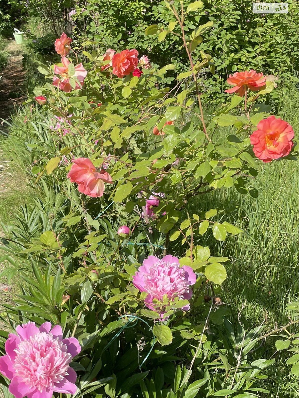 двухэтажный дом с мансардой, 76.1 кв. м, кирпич. Продажа в Черновцах район Роша фото 1 двухэтажный дом с мансардой, 76.1 кв. м, кирпич. Продажа в Черновцах район Роша фото 1