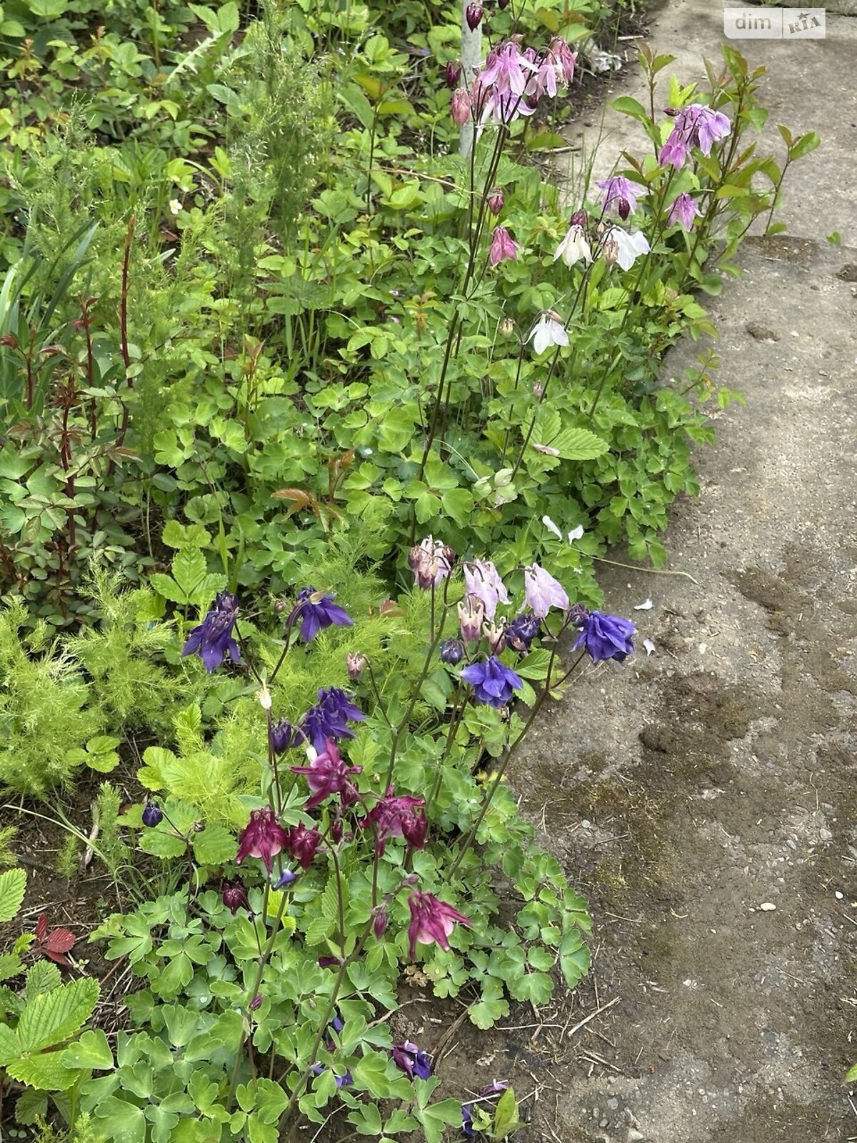 двухэтажный дом с мансардой, 76.1 кв. м, кирпич. Продажа в Черновцах район Роша фото 1 двухэтажный дом с мансардой, 76.1 кв. м, кирпич. Продажа в Черновцах район Роша фото 1