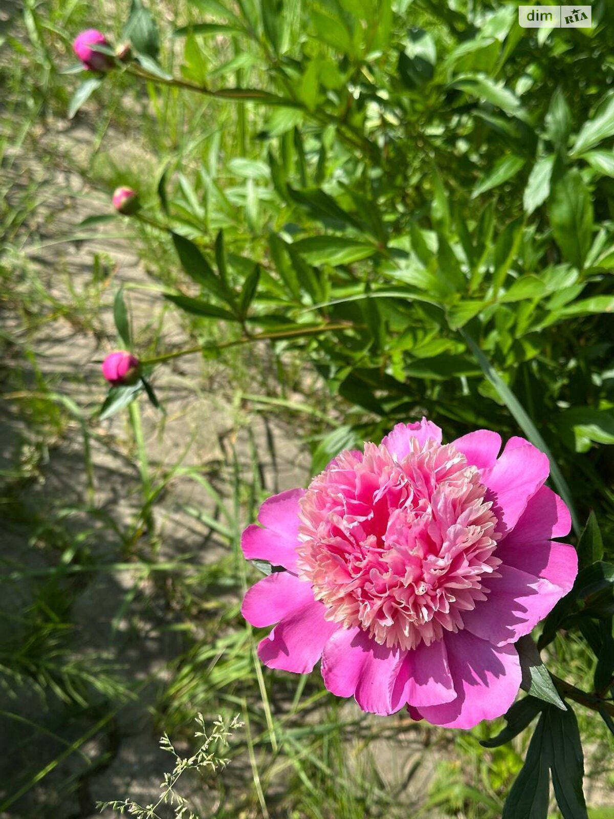 двухэтажный дом с мансардой, 76.1 кв. м, кирпич. Продажа в Черновцах район Роша фото 1 двухэтажный дом с мансардой, 76.1 кв. м, кирпич. Продажа в Черновцах район Роша фото 1