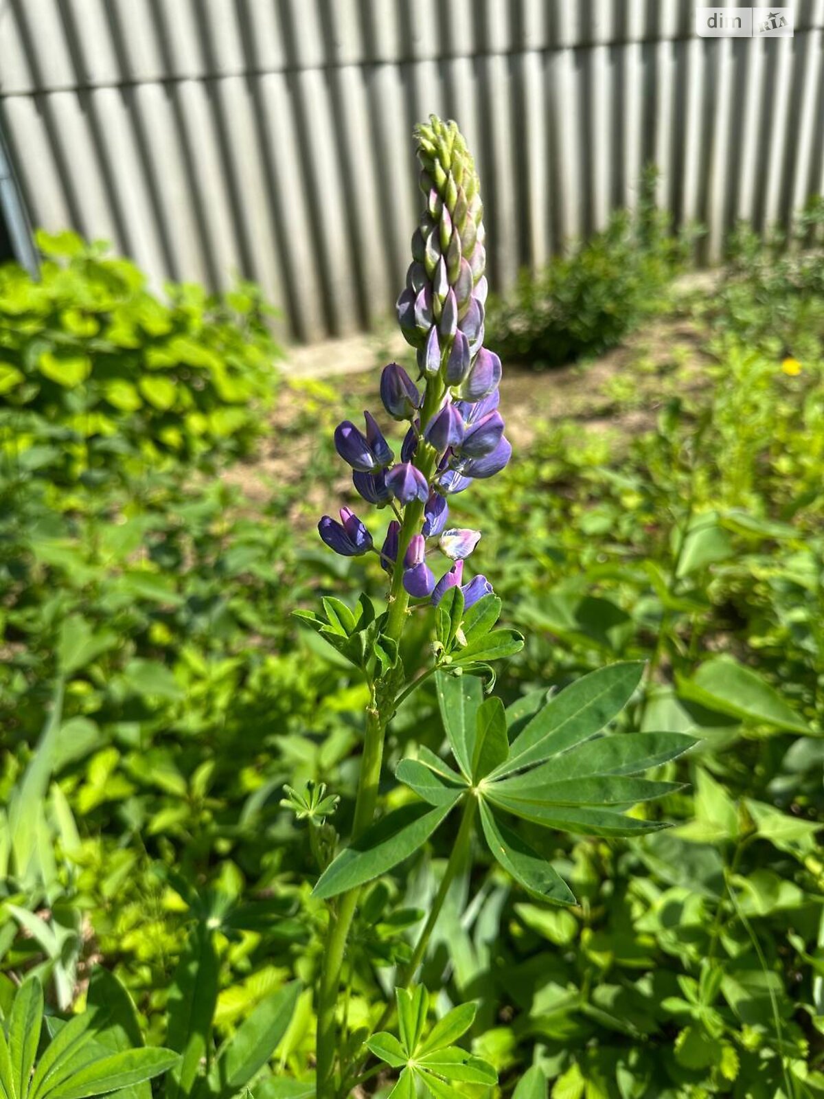 двухэтажный дом с мансардой, 76.1 кв. м, кирпич. Продажа в Черновцах район Роша фото 1 двухэтажный дом с мансардой, 76.1 кв. м, кирпич. Продажа в Черновцах район Роша фото 1