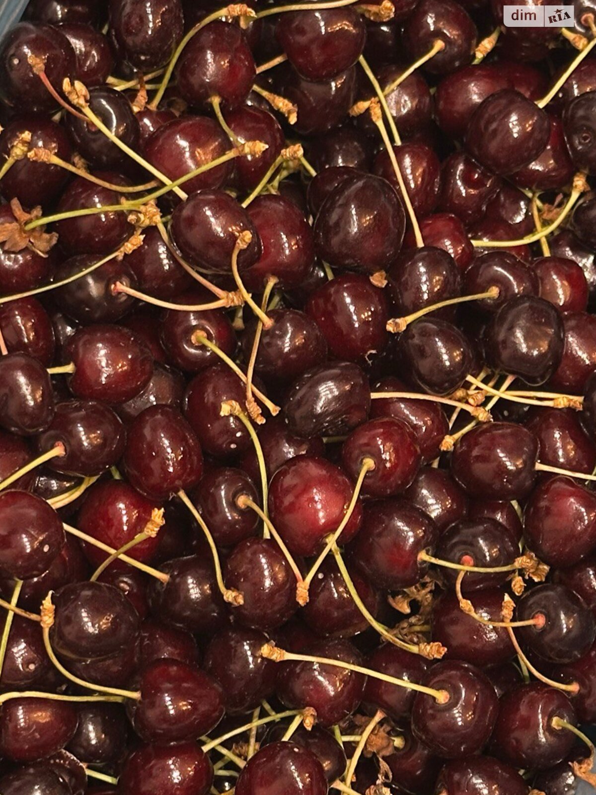 двухэтажный дом с мансардой, 76.1 кв. м, кирпич. Продажа в Черновцах район Роша фото 1 двухэтажный дом с мансардой, 76.1 кв. м, кирпич. Продажа в Черновцах район Роша фото 1