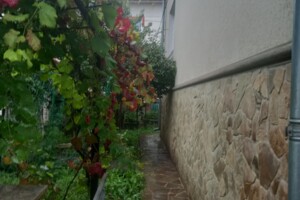 одноэтажный дом с гаражом, 240 кв. м, кирпич. Продажа в Черновцах район Шевченковский фото 2 одноэтажный дом с гаражом, 240 кв. м, кирпич. Продажа в Черновцах район Шевченковский фото 2