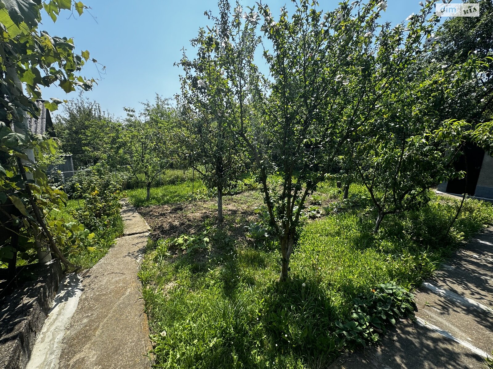 одноэтажный дом, 35 кв. м, ракушечник (ракушняк). Продажа в Черновцах район Шевченковский фото 1 одноэтажный дом, 35 кв. м, ракушечник (ракушняк). Продажа в Черновцах район Шевченковский фото 1