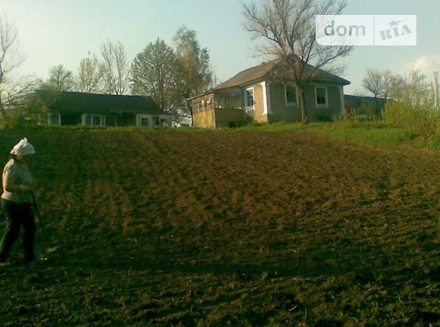 одноповерховий будинок, 80 кв. м, ракушняк. Продаж в Борівці (Вінницька обл.) фото 1 одноповерховий будинок, 80 кв. м, ракушняк. Продаж в Борівці (Вінницька обл.) фото 1