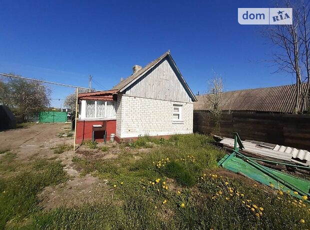 одноэтажный дом с садом, 45 кв. м, кирпич. Продажа в Девочках (Житомирская обл.) фото 1 одноэтажный дом с садом, 45 кв. м, кирпич. Продажа в Девочках (Житомирская обл.) фото 1