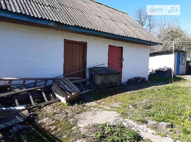 одноэтажный дом с садом, 45 кв. м, кирпич. Продажа в Девочках (Житомирская обл.) фото 1 одноэтажный дом с садом, 45 кв. м, кирпич. Продажа в Девочках (Житомирская обл.) фото 1