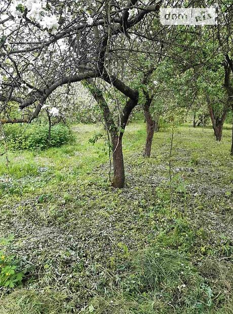 одноэтажный дом с садом, 45 кв. м, кирпич. Продажа в Девочках (Житомирская обл.) фото 1 одноэтажный дом с садом, 45 кв. м, кирпич. Продажа в Девочках (Житомирская обл.) фото 1
