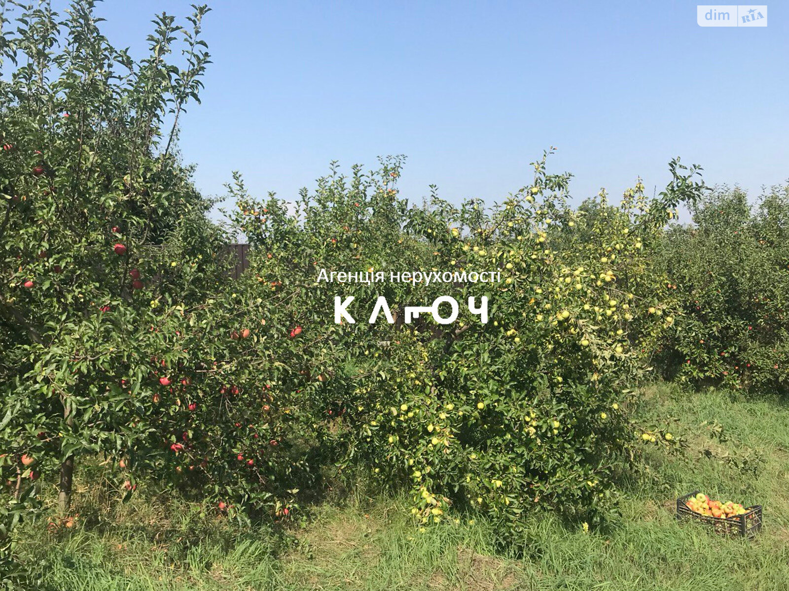 двоповерховий будинок з верандою, 279.1 кв. м, монолітно-каркасний. Продаж у Черняхівці фото 1