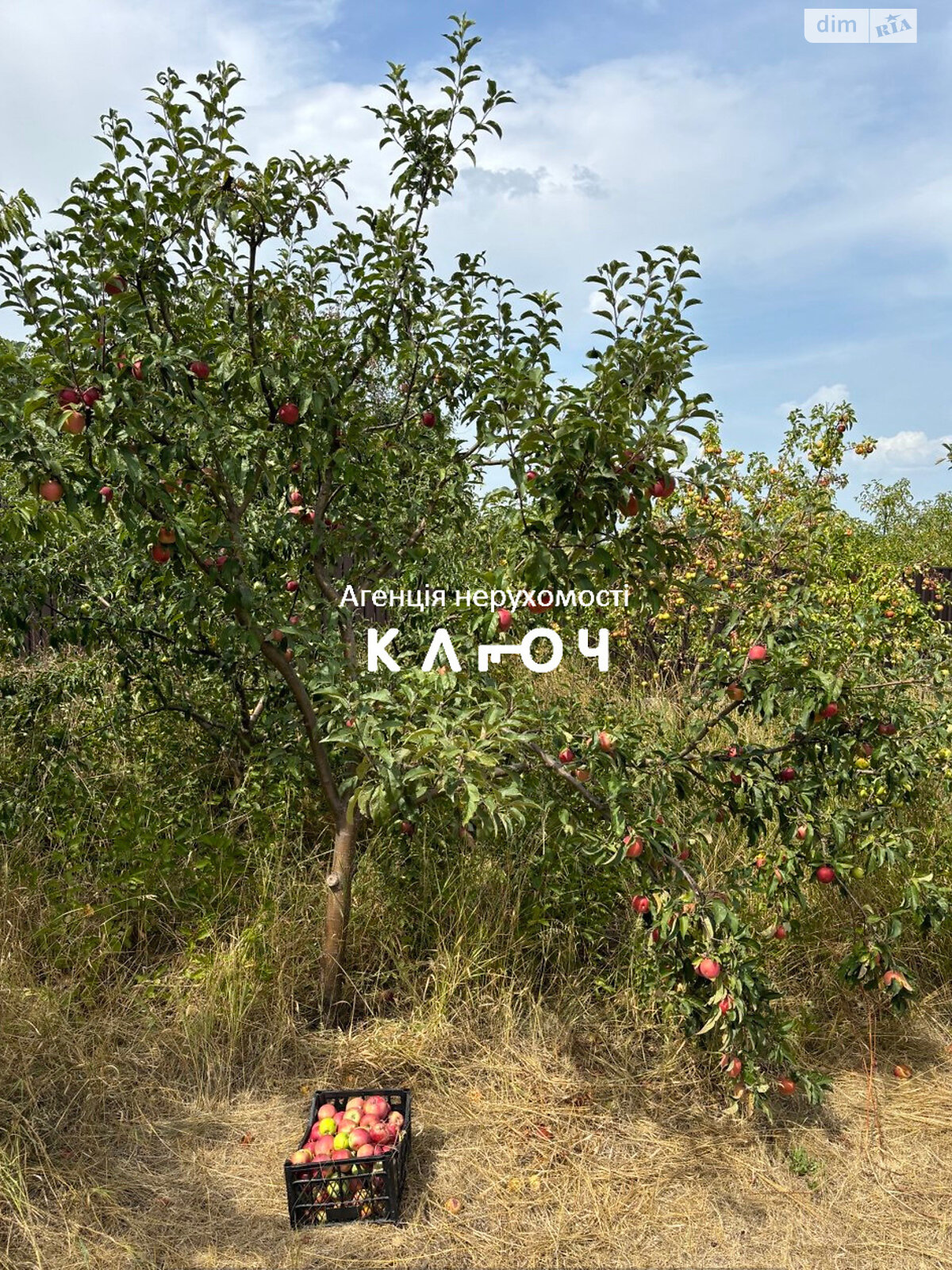 двоповерховий будинок з верандою, 279.1 кв. м, монолітно-каркасний. Продаж у Черняхівці фото 1