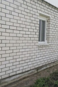 одноповерховий будинок з опаленням, 55 кв. м, цегла. Продаж у Чернятині фото 2