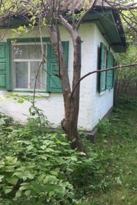 одноповерховий будинок з гаражем, 49.7 кв. м, цегла. Продаж у Чернявці фото 2