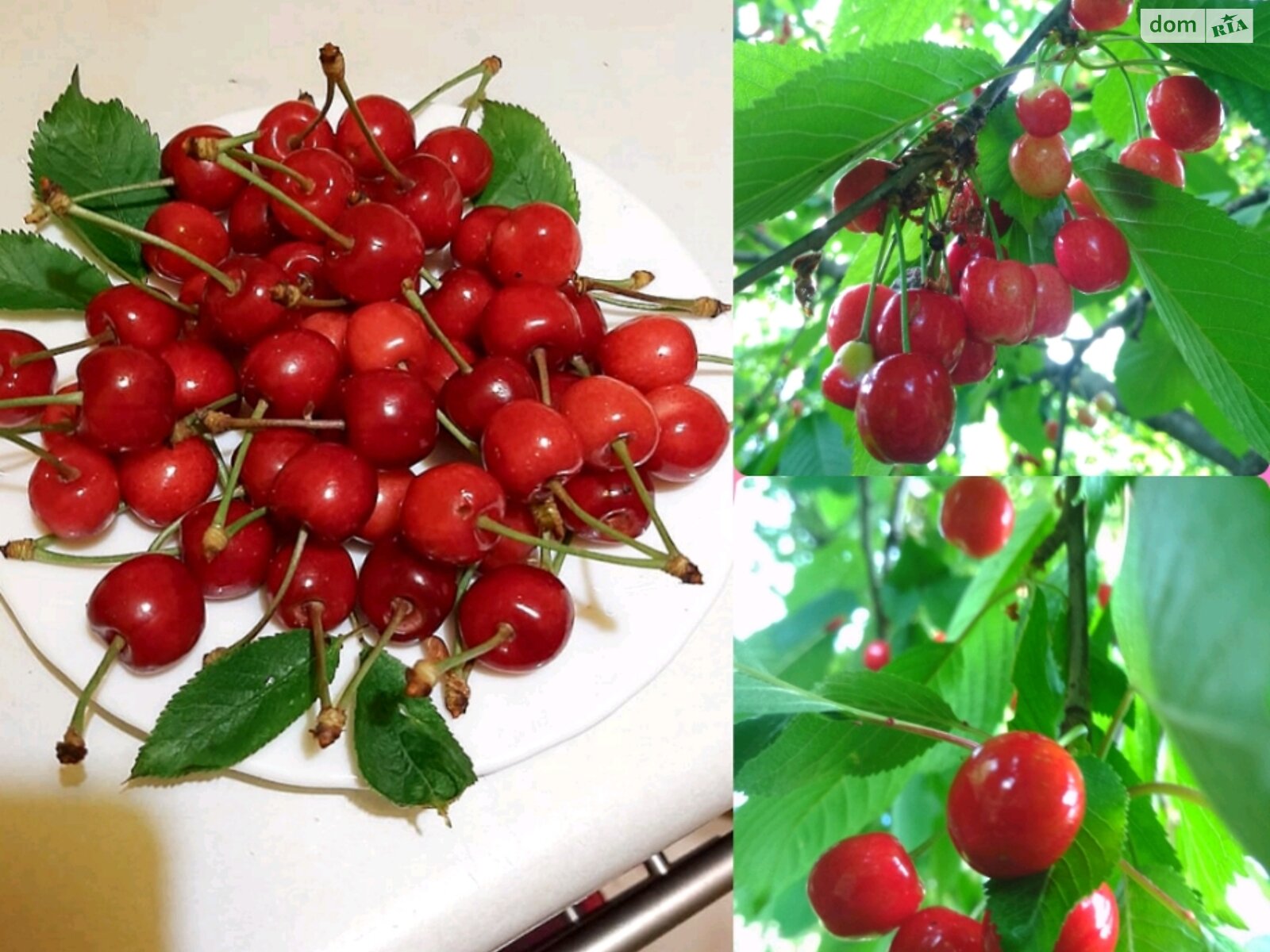 двухэтажный дом, 106 кв. м, кирпич. Продажа в Черткове фото 1 двухэтажный дом, 106 кв. м, кирпич. Продажа в Черткове фото 1