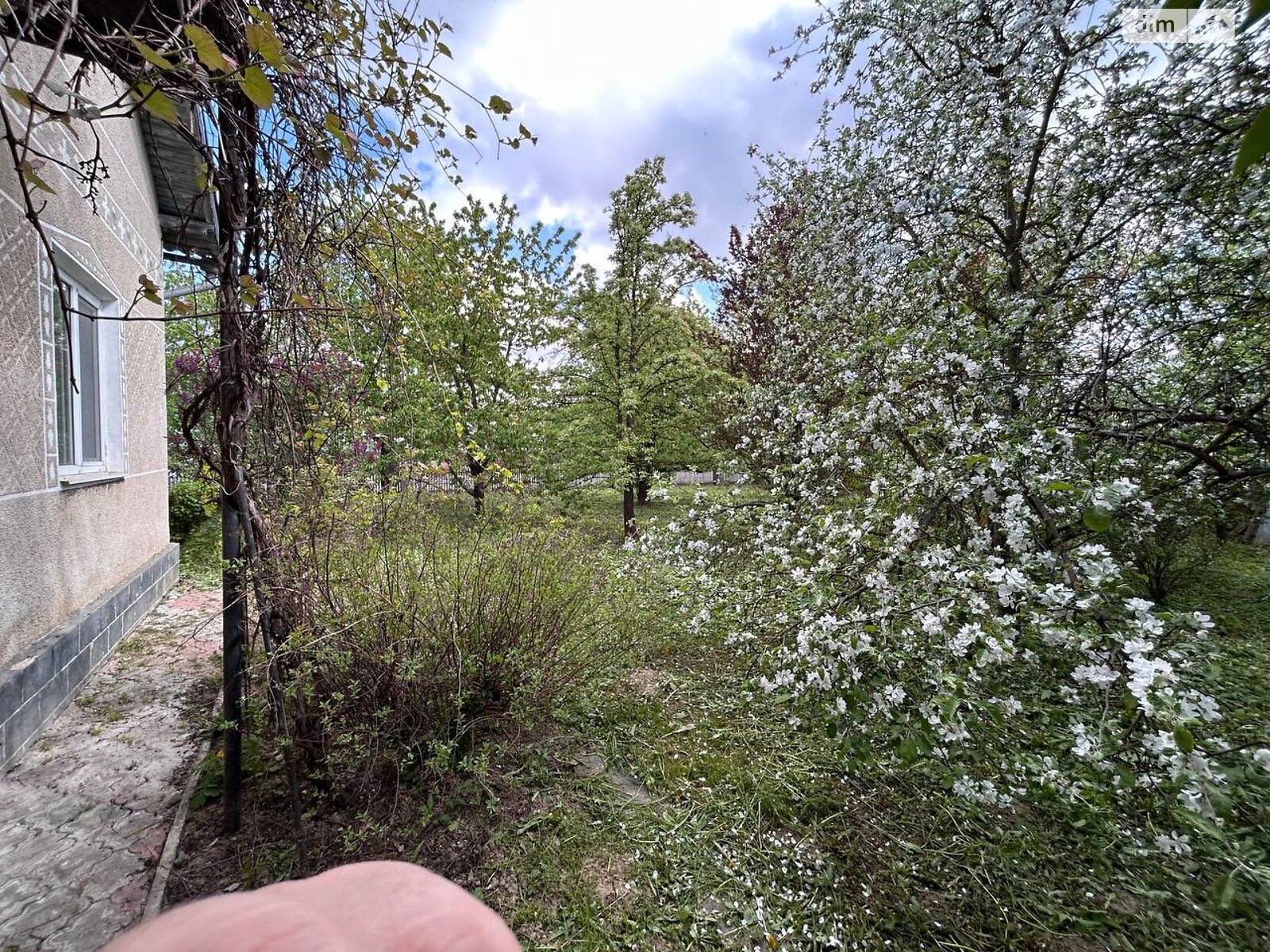 одноповерховий будинок з гаражем, 120 кв. м, цегла. Продаж у Чорткові фото 1 одноповерховий будинок з гаражем, 120 кв. м, цегла. Продаж у Чорткові фото 1