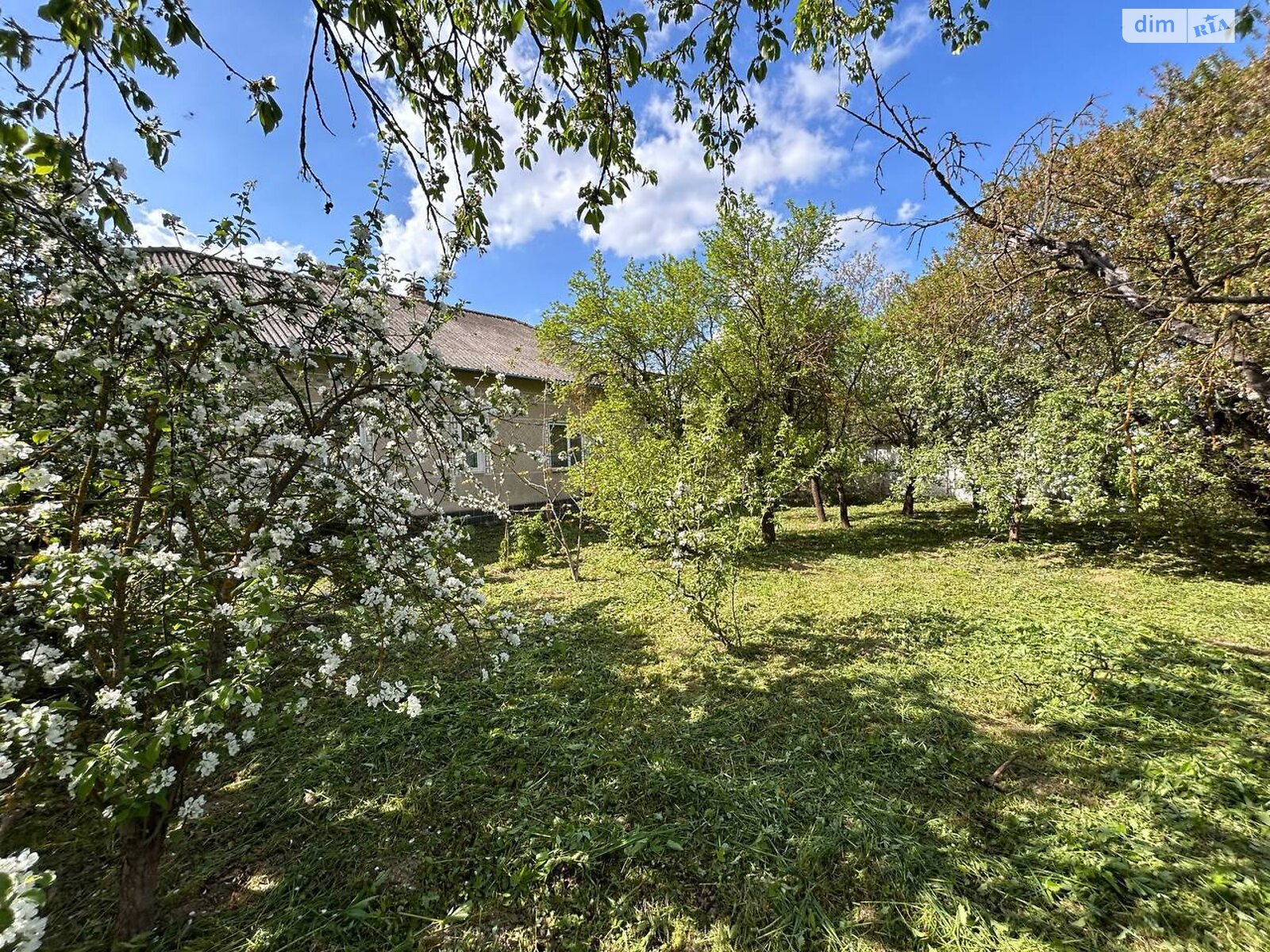 одноповерховий будинок з гаражем, 120 кв. м, цегла. Продаж у Чорткові фото 1 одноповерховий будинок з гаражем, 120 кв. м, цегла. Продаж у Чорткові фото 1